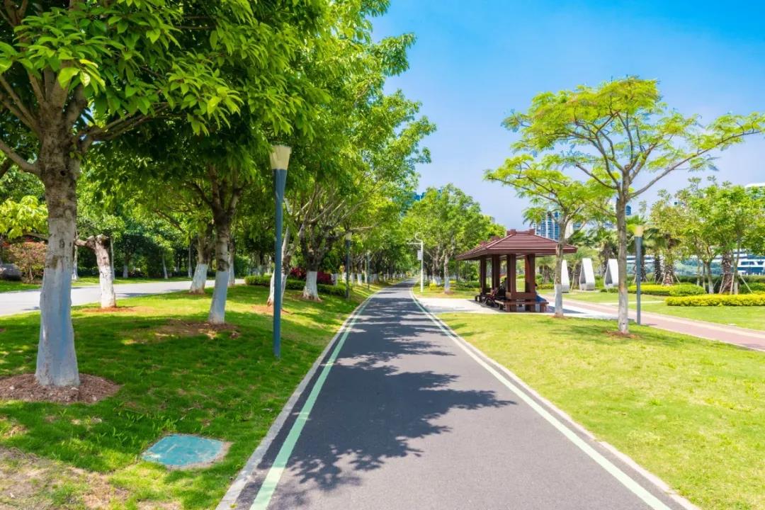 城市管理「耳聰目明」！湖里引入第三方信息采集(圖5)